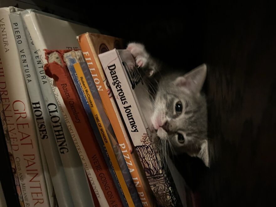 Going On A Dangerous Journey