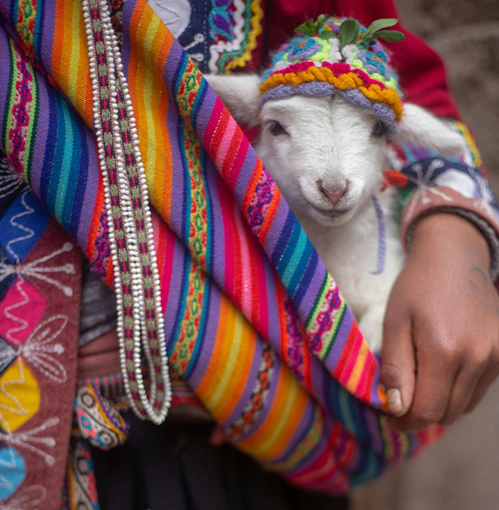 “Can’t Recommend It Enough”: 22 Travelers Share Unpopular Travel Destinations That Are Worth It