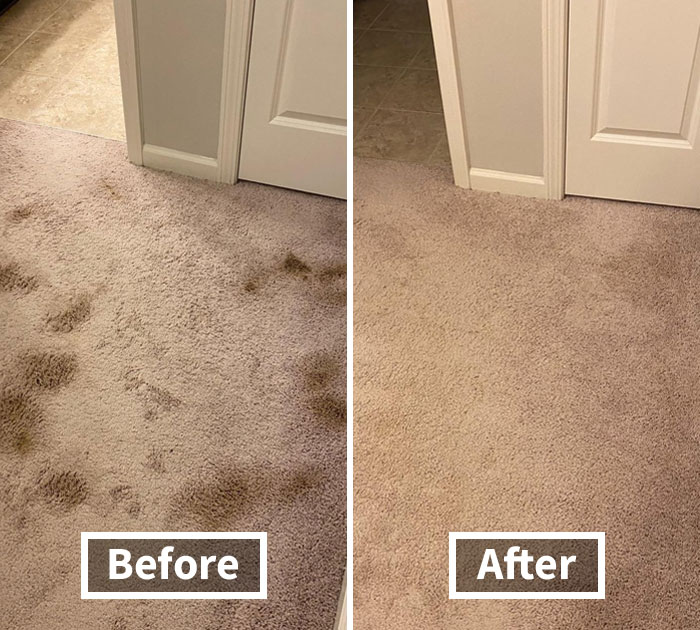 Tackle Those Last-Minute Spills With Folex Instant Carpet Spot Remover And Keep Your Carpets Looking Their Best Through The Holiday Season. Because Who Needs A Stain To Ruin The Festivities?