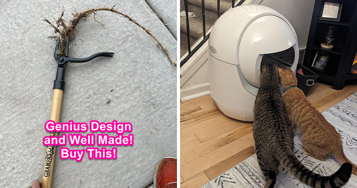 Explore The 100 Coolest Products From Amazon’s Most Wished-for Section