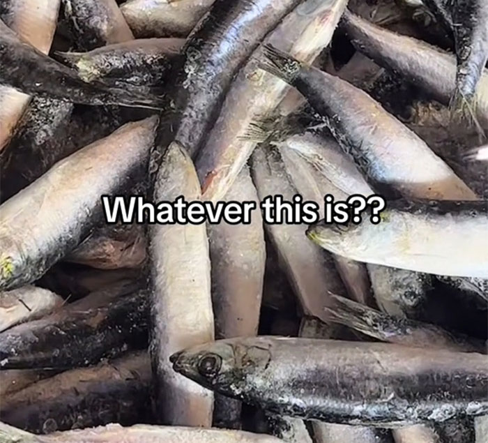 “It’s Really Crazy To Me”: American Goes Viral Sharing Her Culture Shocks In Spain - 3