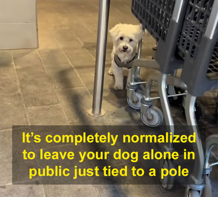 “It’s Really Crazy To Me”: American Goes Viral Sharing Her Culture Shocks In Spain - 8