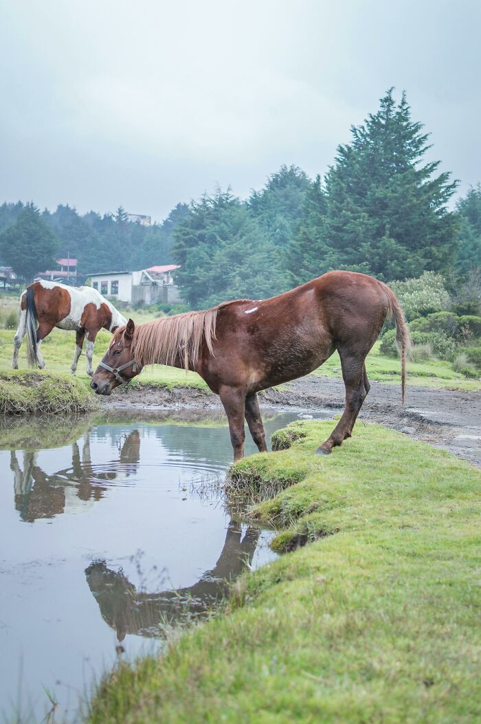 40 People Reveal The Thing They Did For Money That They're Most Ashamed Of