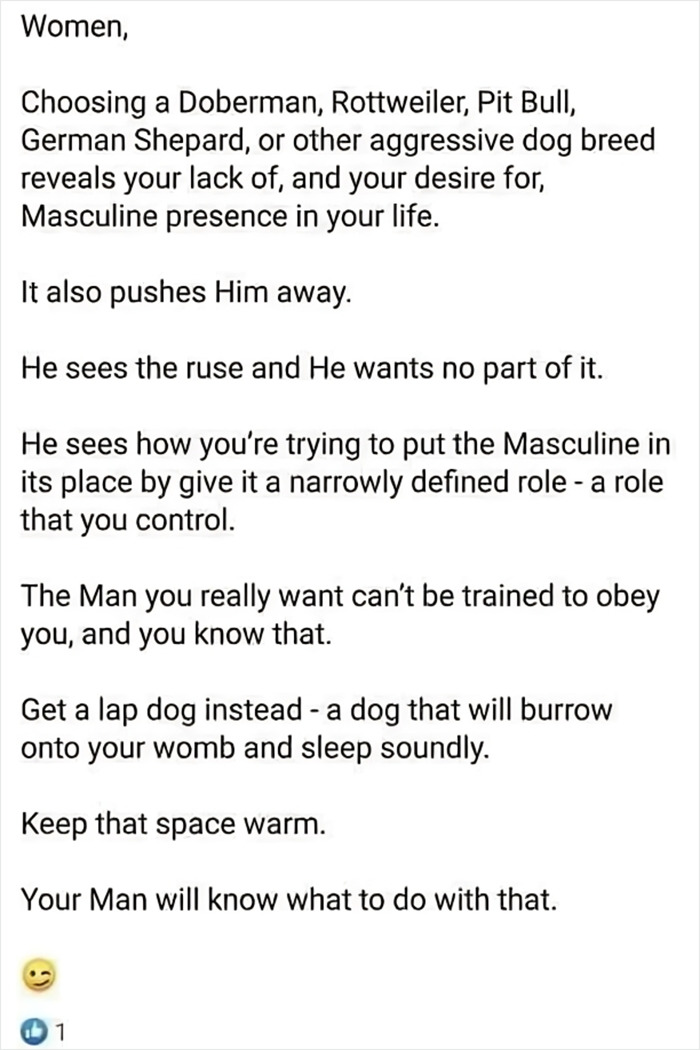 Wtf Did I Just Read?