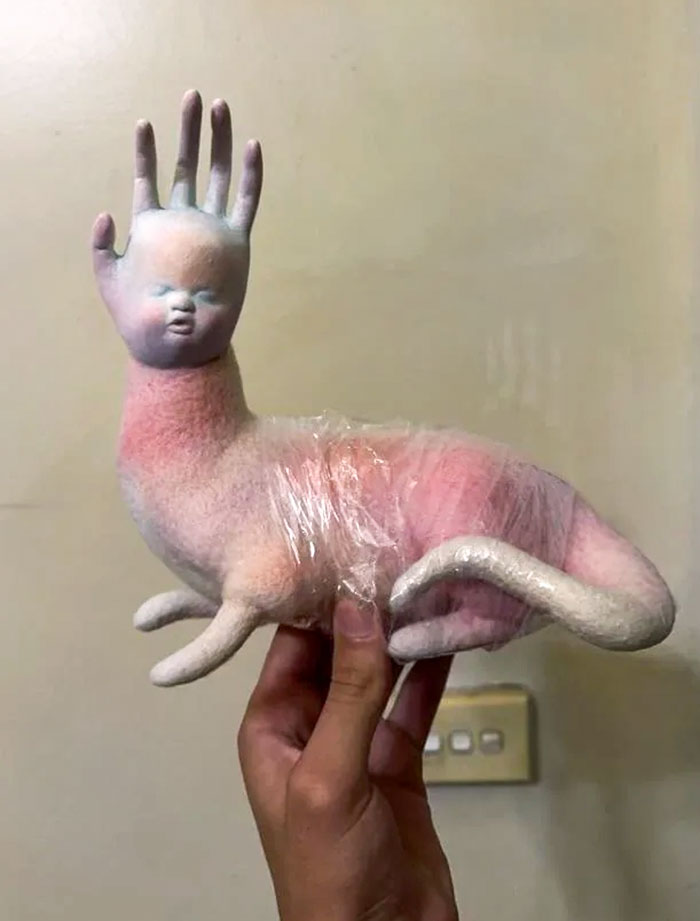 Someone Left This Package On My Door Step, When We Opened It Up This Is What We Found