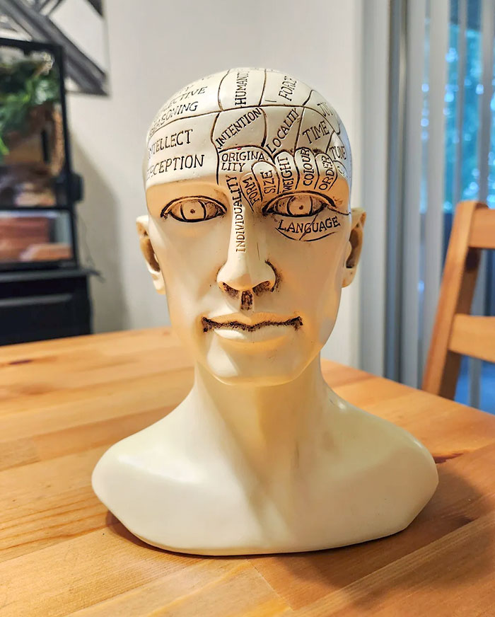 Tomorrow Is My Birthday And This Bust Was Just Delivered To Me With No Indication Of Sender