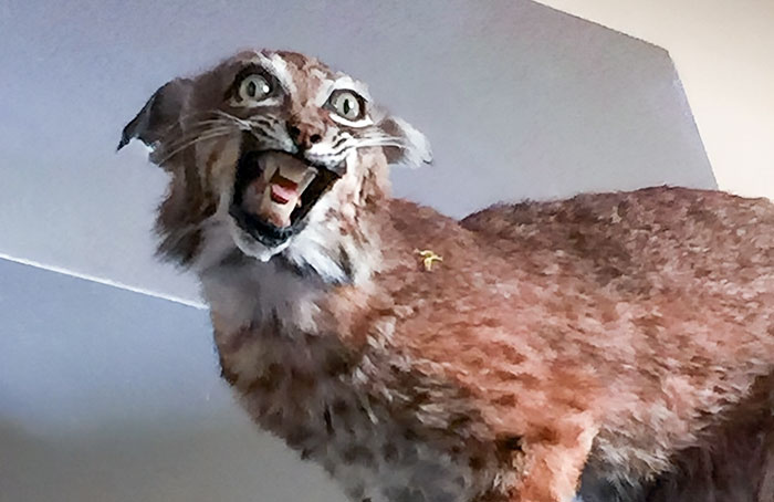 Got This Thing In The Mail The Other Day. No Idea Who Sent It