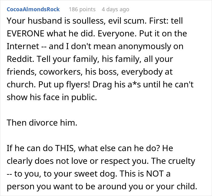 "My Partner Released Our Dog On The Side Of The Highway"