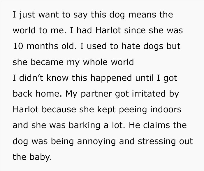 "My Partner Released Our Dog On The Side Of The Highway"