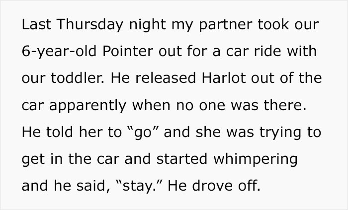 "My Partner Released Our Dog On The Side Of The Highway"