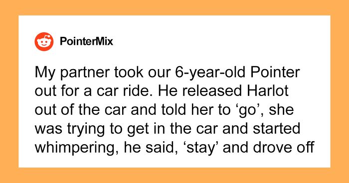 “My Partner Released Our Dog On The Side Of The Highway”