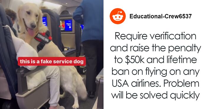 “Total BS”: Passengers Tired Of “Fake Service Dogs” Causing Trouble On Flights