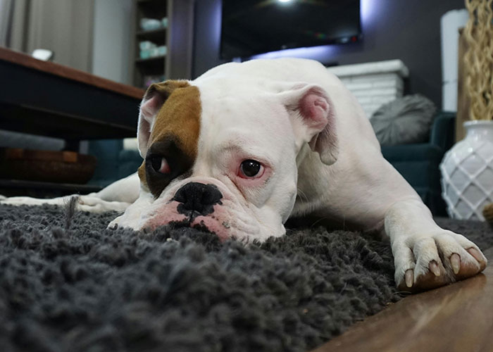 “Chicken Wings, Nobody Should Be Paying $2 Per Wing”: 30 Things People Can No Longer Afford - 27