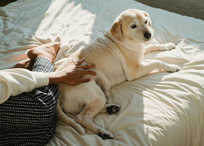 50 Of The Stupidest Reasons For Why People Got Divorced - 36