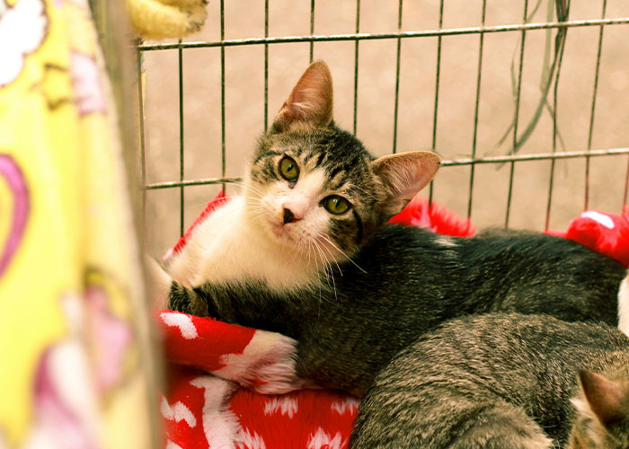 50 Of The Stupidest Reasons For Why People Got Divorced - 2