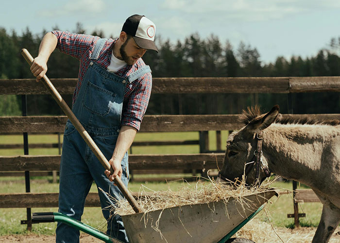 50 Of The Stupidest Reasons For Why People Got Divorced - 13