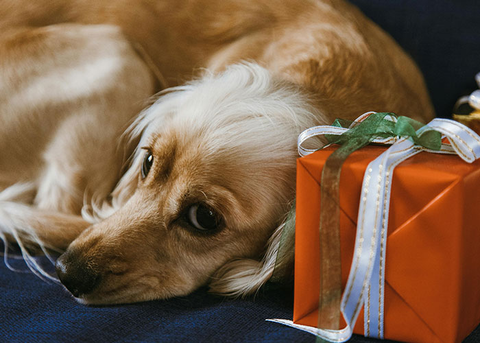 50 Of The Stupidest Reasons For Why People Got Divorced - 10