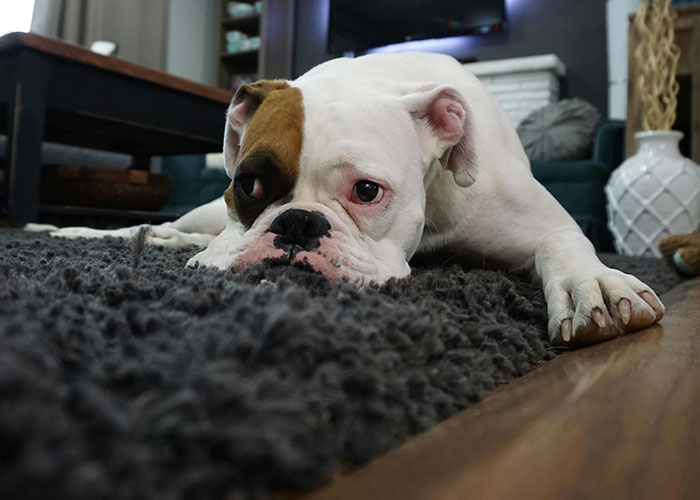 “The Things I’ve Seen, I Can’t Unsee”: 30 Times People Were Shocked By How Others Live