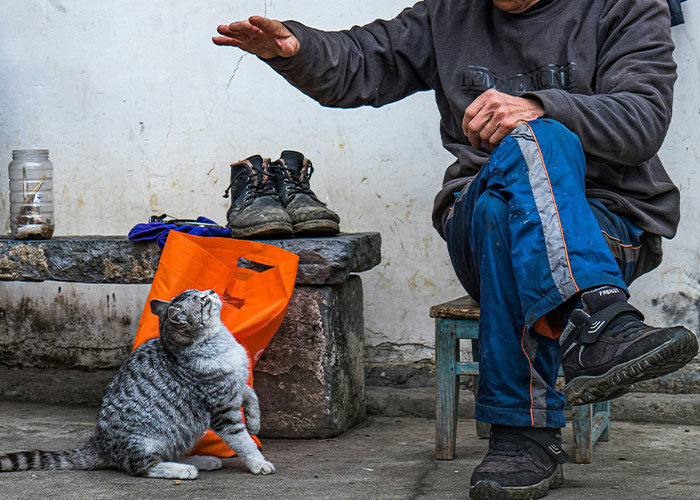 Man sitting on a small stool interacting with a cat in a simple living space showing daily life moments.