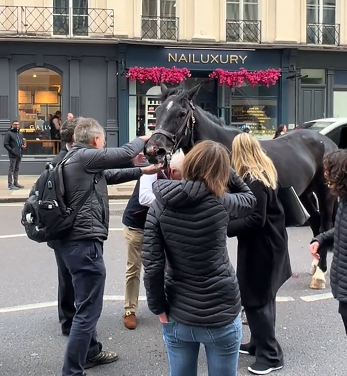 Four People Rushed To The Hospital After Blood-Covered Horses Cause Damage And Injuries In London