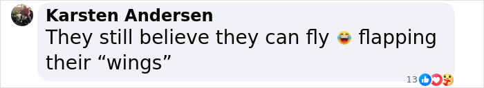 Record-Breaking Footage Captures Hundreds Of Baby Penguins Diving From 50-Foot Cliff - 11