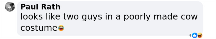 World’s Most Expensive Cow, Viatina-19, Breaks Records After Fetching $4.8 Million - 5