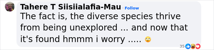 Scientists In New Zealand Have Discovered More Than 100 New Species, Including From Unseen Genus - 16