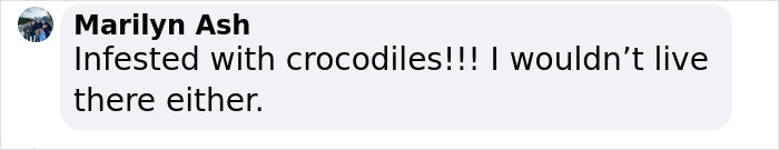 Failed “Forest City” Mega-Project Is Now Reportedly Filled With Crocodiles - 4