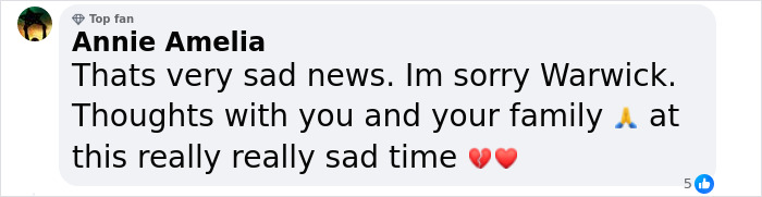 Fans Stunned After Warwick Davis Reveals His Wife Passed Away Nearly A Month Ago - 10