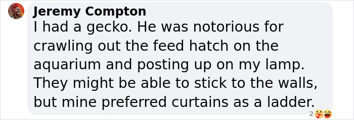 Biologist’s First Thought After Seeing This New Gecko Species Is “Starry Night”, Names It “Vangoghi” - 14