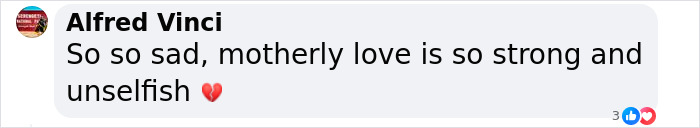 “Motherly Love Is So Strong”: Aussie Mom Thrusts Baby To Strangers In Last Heroic Act - 7