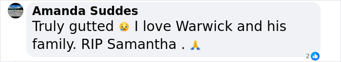 Fans Stunned After Warwick Davis Reveals His Wife Passed Away Nearly A Month Ago - 6