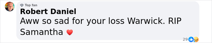 Fans Stunned After Warwick Davis Reveals His Wife Passed Away Nearly A Month Ago - 5