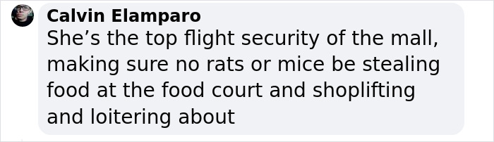 Pet Shop Rescues Stray Cat And Gives Her The Best Life At The Mall - 15