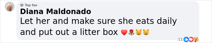 Pet Shop Rescues Stray Cat And Gives Her The Best Life At The Mall - 12