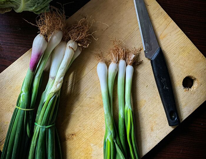 30 People Shared April Fools’ Pranks That Are Too Good Not To Try