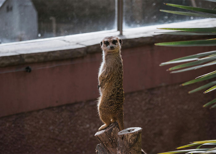 Skeletons In The Closet: 30 Wild Family Secrets That Shook Generations