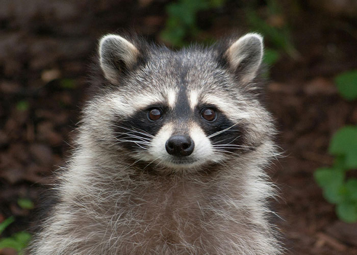 30 People Share About One Scandal At Their School That Stunned Everyone