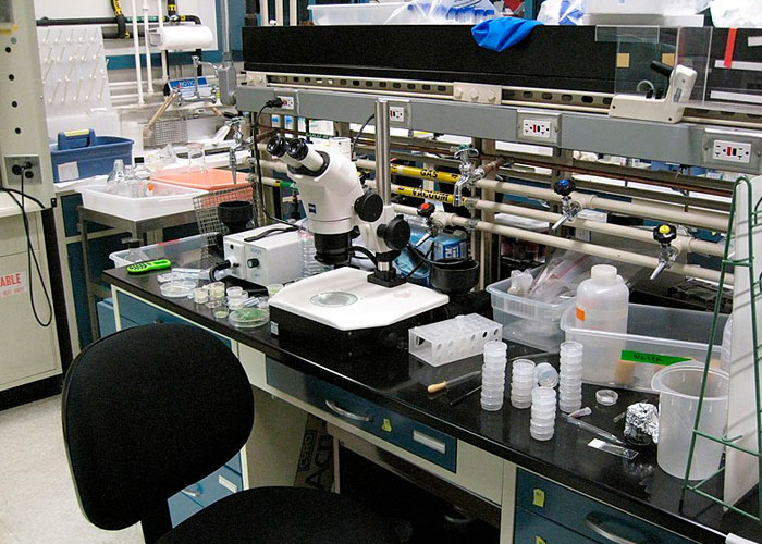 "What Scientific Breakthrough Are We Closer To Than Most People Realize?" (40 Answers)