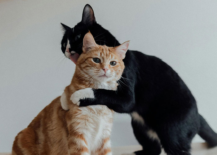 "What Scientific Breakthrough Are We Closer To Than Most People Realize?" (40 Answers)