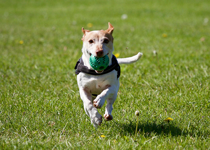 34 Of The Most Surprising Loopholes That Got Cases Instantly Dismissed - 16