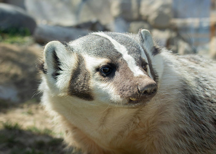 34 Of The Most Surprising Loopholes That Got Cases Instantly Dismissed - 23