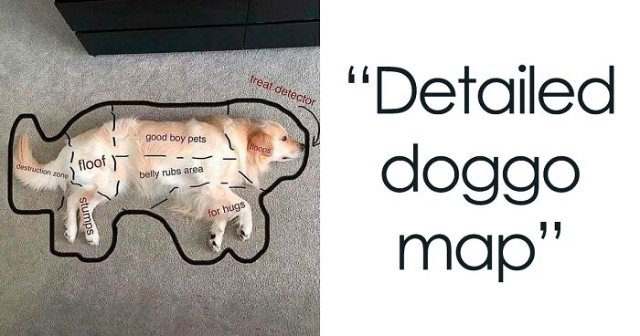 “Terrible Maps”: 30 Maps That Are So Bad, It’s Funny (New Pics)