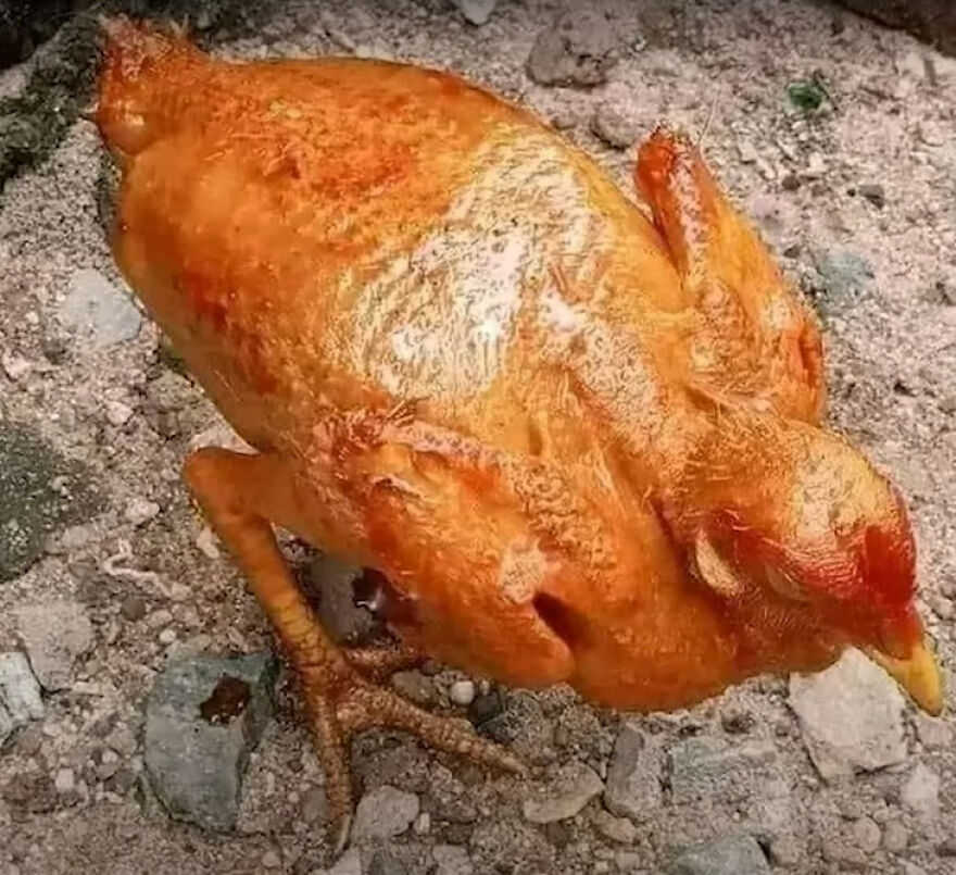 The Weirdest Images I (Gaz) Could Find