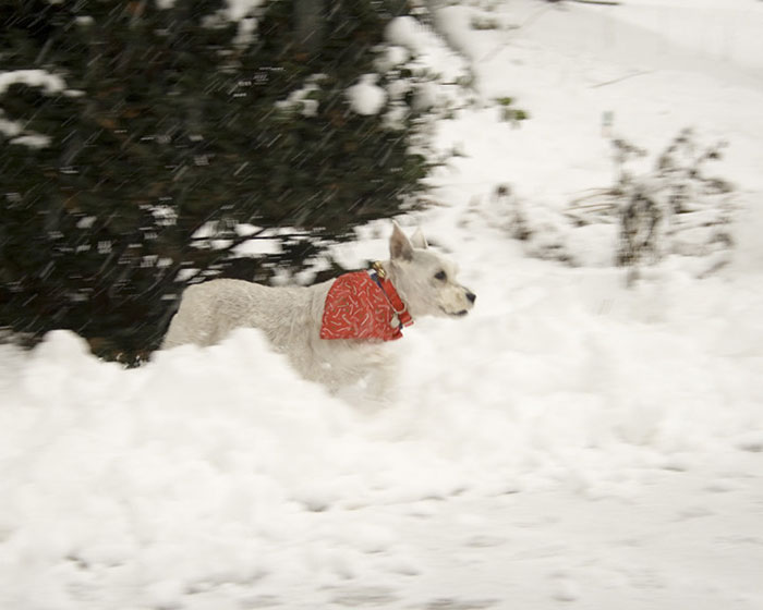 "Life Without Smartphones": 30 Things Today's Kids Will Never Get To Experience