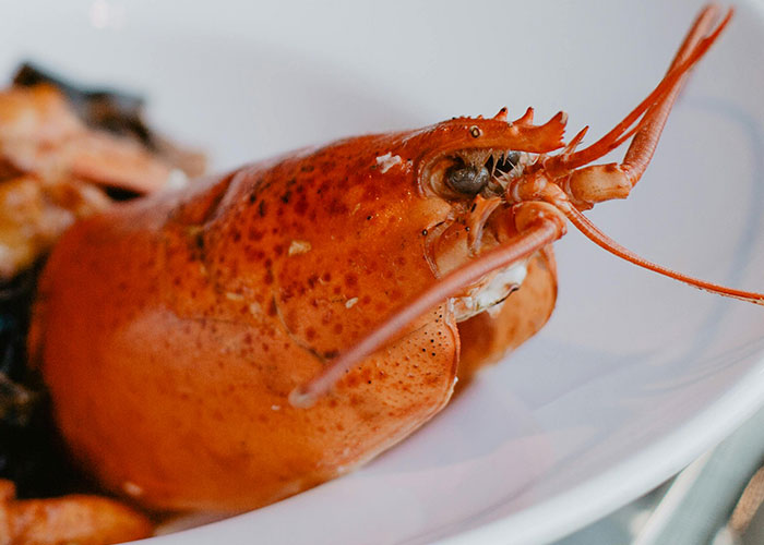 30 Of The Wildest Things The Rich Can Purchase That Poor People Probably Don’t Even Know Exist - 39