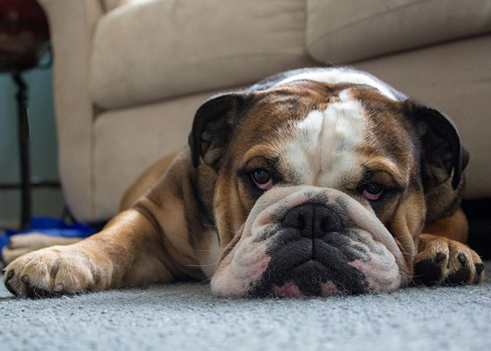 “I Don’t See It Ever Recovering”: 45 People Shame The Single Worst Human Invention