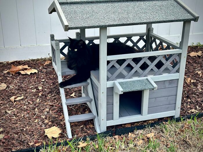Black cat lounging on a low-effort garden find, a small wooden playhouse surrounded by mulch and grass.