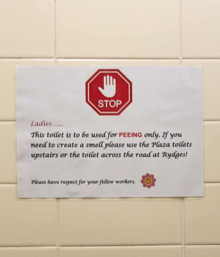 My Work Doesn’t Allow You To Use A Toilet As A Toilet