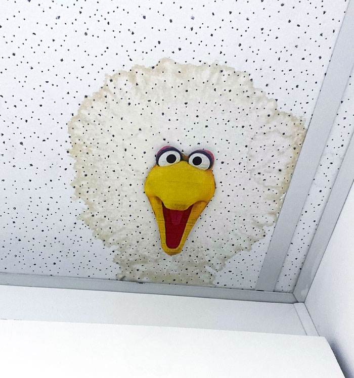 How My Workplace Deals With Leaking Pipes